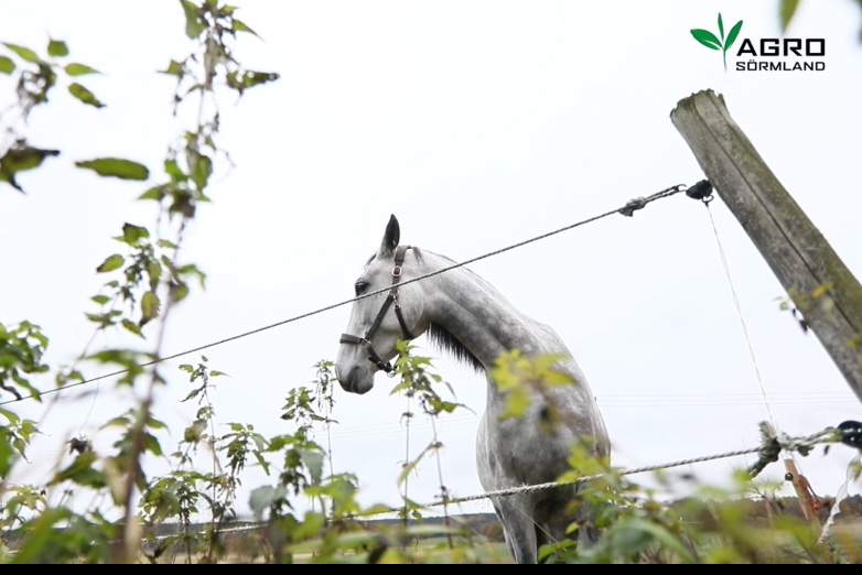 Företagsfilm för Agro Sörmland